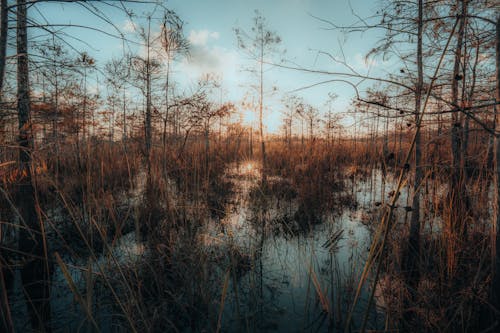 Florida Everglades Fire Rages, Crews Battle Flames