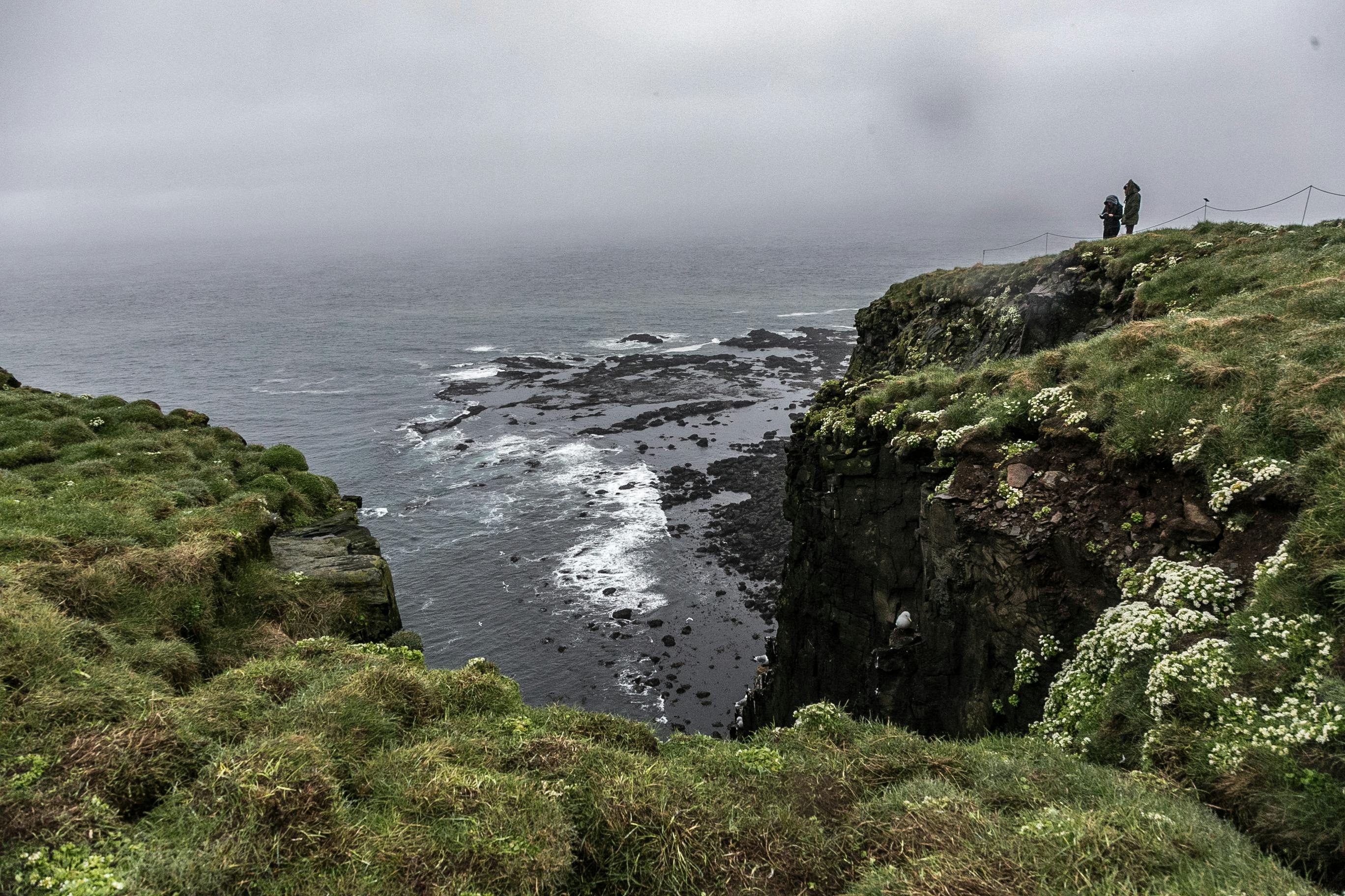 冰岛的戏剧性悬崖、郁郁葱葱的绿色植物和岩石海岸，是自然爱好者的完美去处