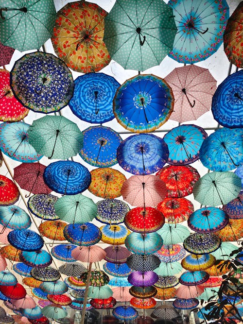 Gratis stockfoto met meerdere kleuren, paraplu installatie, paraplu luifel