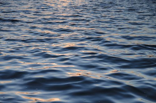 Free Peaceful ripples on a sunlit water surface at dusk, capturing the tranquility of nature. Stock Photo