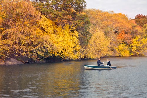 Free stock photo of boat, central park, couple Stock Photo