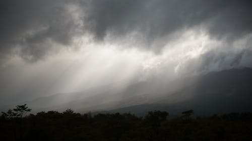 Бесплатное стоковое фото с буря, гора, деревья