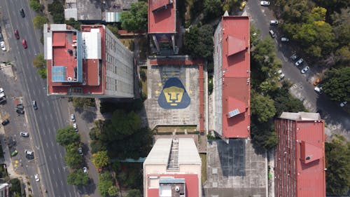 Emblem of Pumas Club Universidad Nacional Painted on Roof