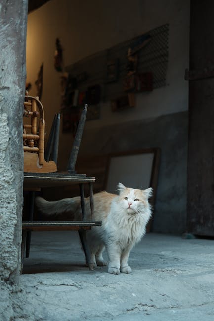 Beyond the Cats: Exploring Kuching's Cultural Tapestry Beyond the Cats: Exploring Kuching's Cultural Tapestry