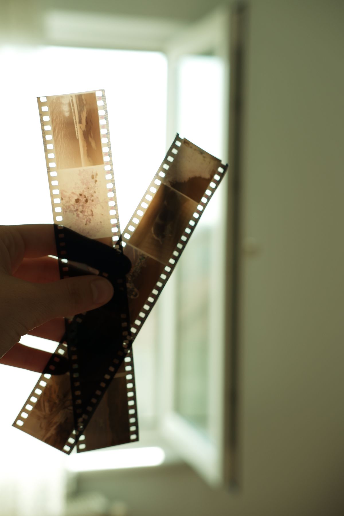 Mano che tiene una striscia di negativi fotografici; fotografia illustrativa
