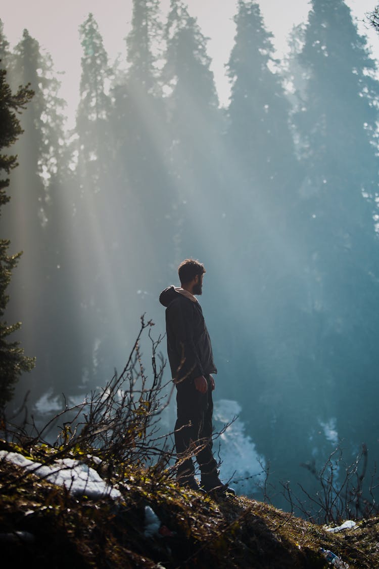 Man Standing On The Hill In The Forest 