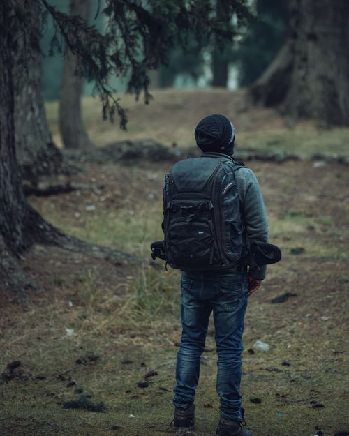 Free Rear view of a man with a backpack walking in a serene forest environment. Stock Photo