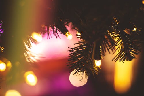 Fotos de stock gratuitas de christmas, lights, winter