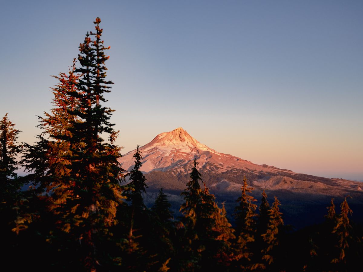 Oregon Wellness Retreat 3