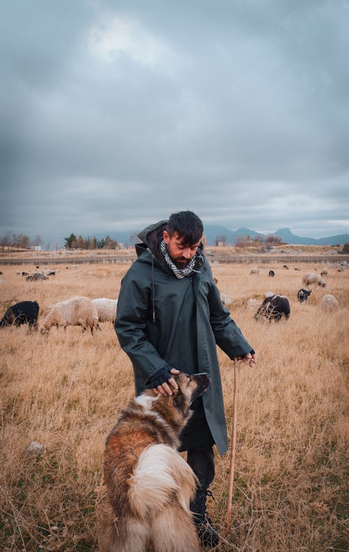 Homem Acariciando Um Cão Pastor No Pasto