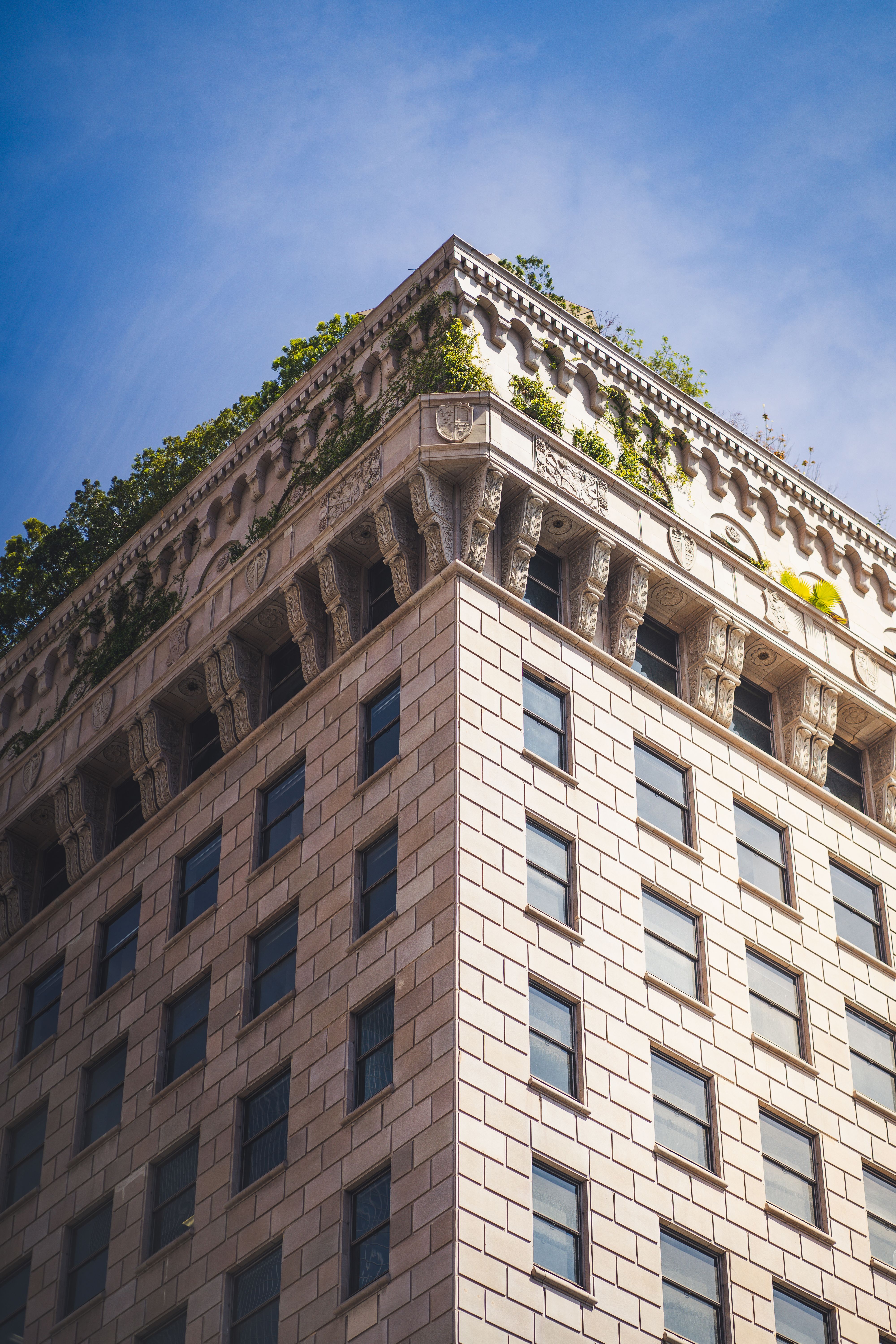 Building a Thriving Discoveryforum Community: Nurturing Connections Beyond Borders