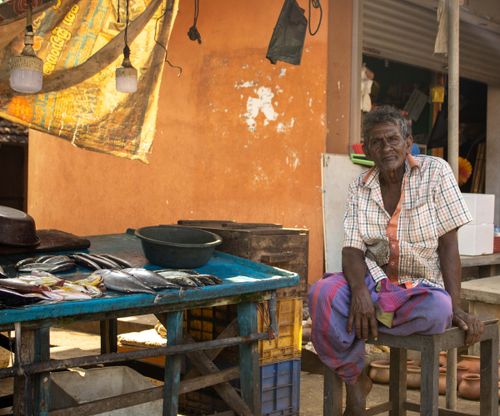 Free A portrait of an elder fish vendor at a traditional market in an outdoor setting. Stock Photo