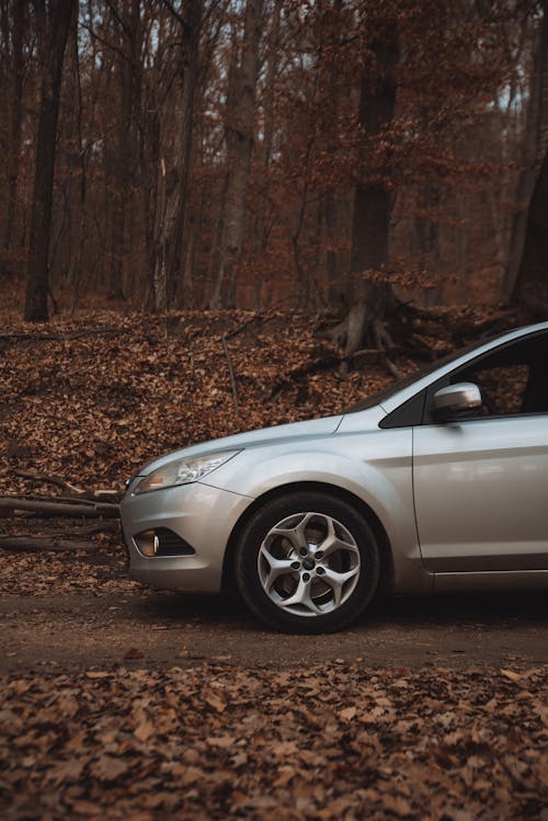 Silver Ford Focus on a Road in an Autumnal Forest 