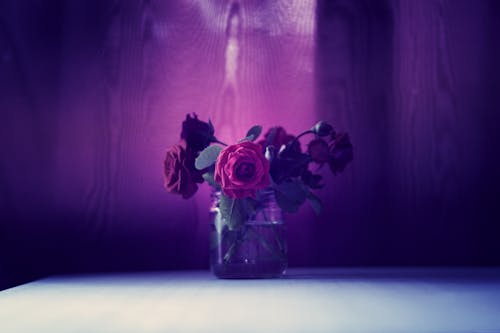 투명 유리 항아리에 빨간 장미 사진