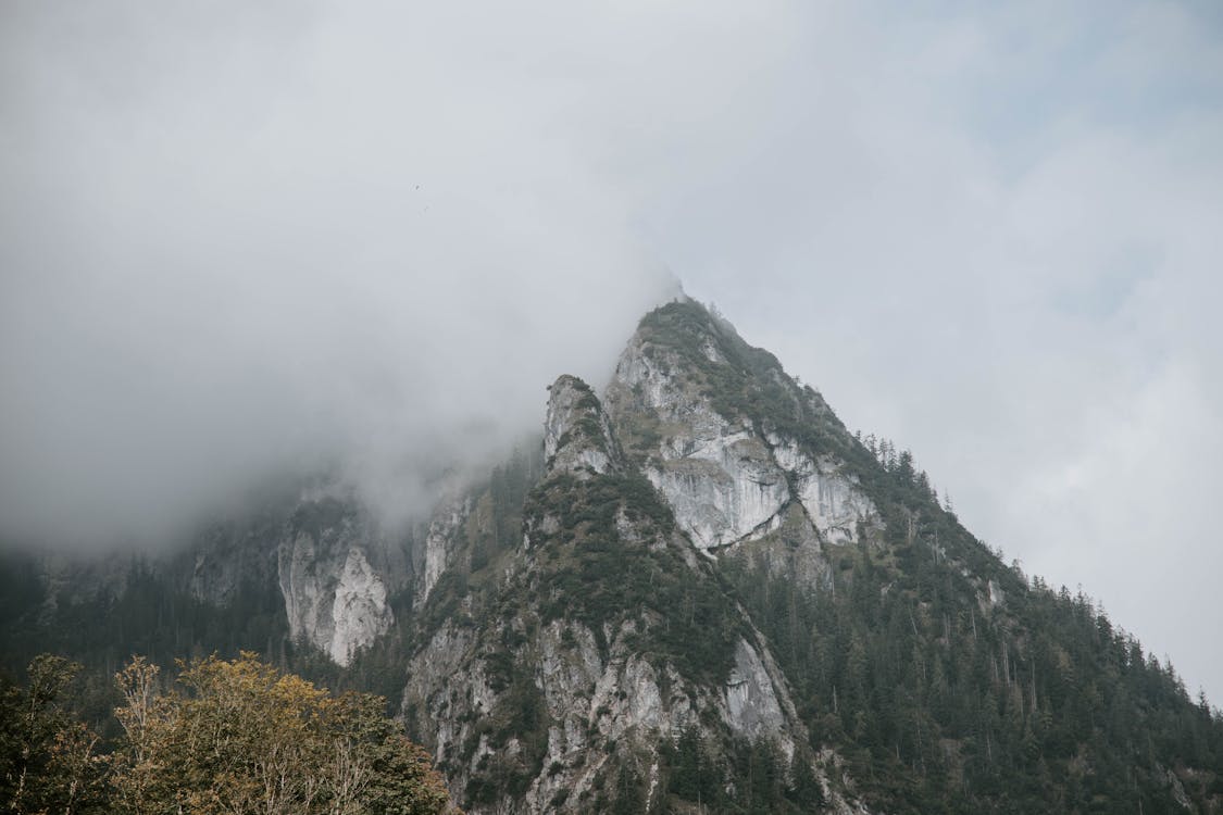 Núi Bao Quanh Bởi Sương Mù