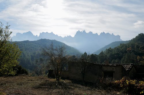 Foto profissional grátis de árvores, barracão, cenário