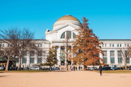 Free Museum of Natural History Stock Photo