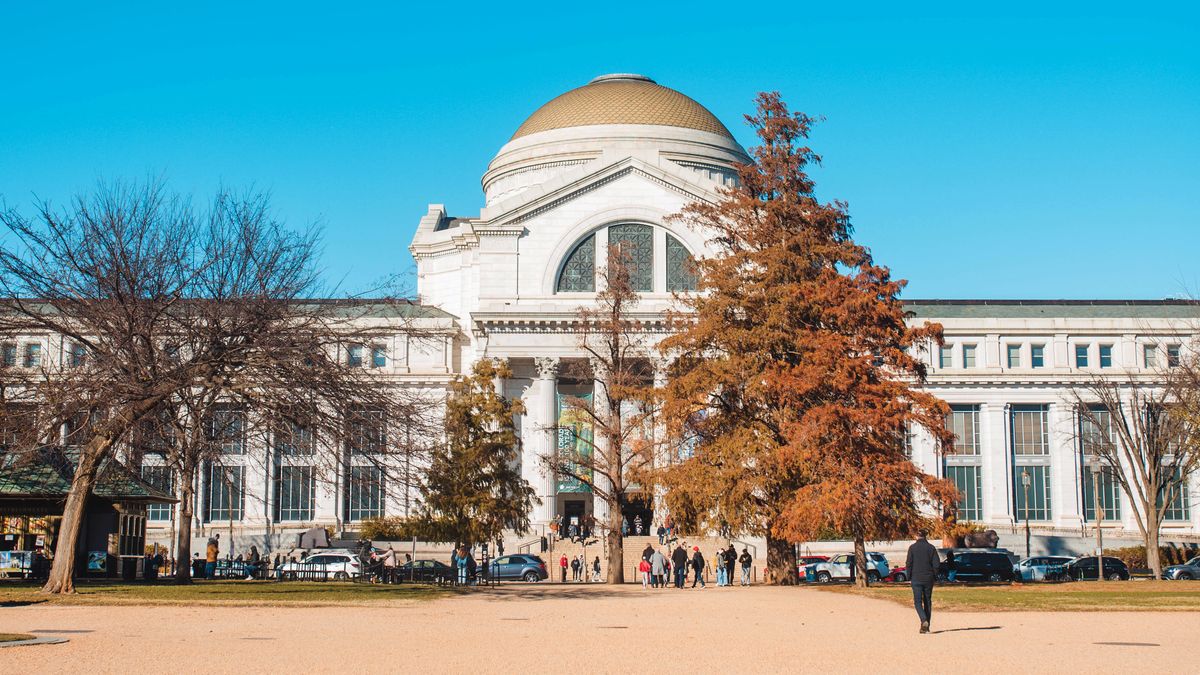 Top Washington, DC Family Giveaways With No Purchase Necessary: Safe Entry Guide