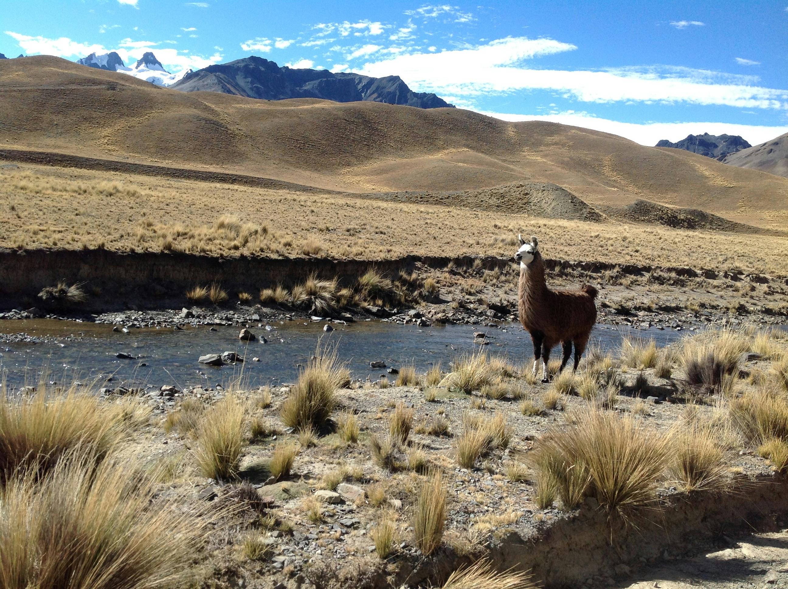 Levantamiento topográfico