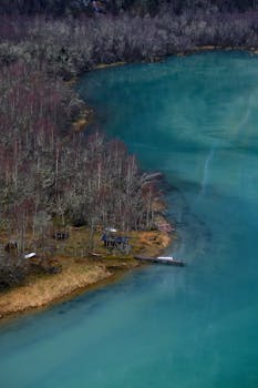 Image by Paulina Rapacz