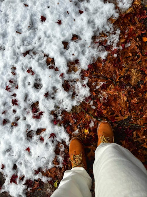 Person Standing on Fallen Leaves with Snow