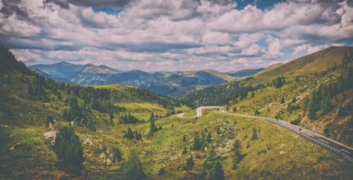Дорога, окруженная зелеными соснами через холмы под голубым облачным небом