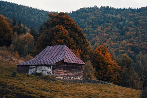 Free A rustic wooden cabin nestled in a vibrant autumn forest, showcasing rural tranquility. Stock Photo