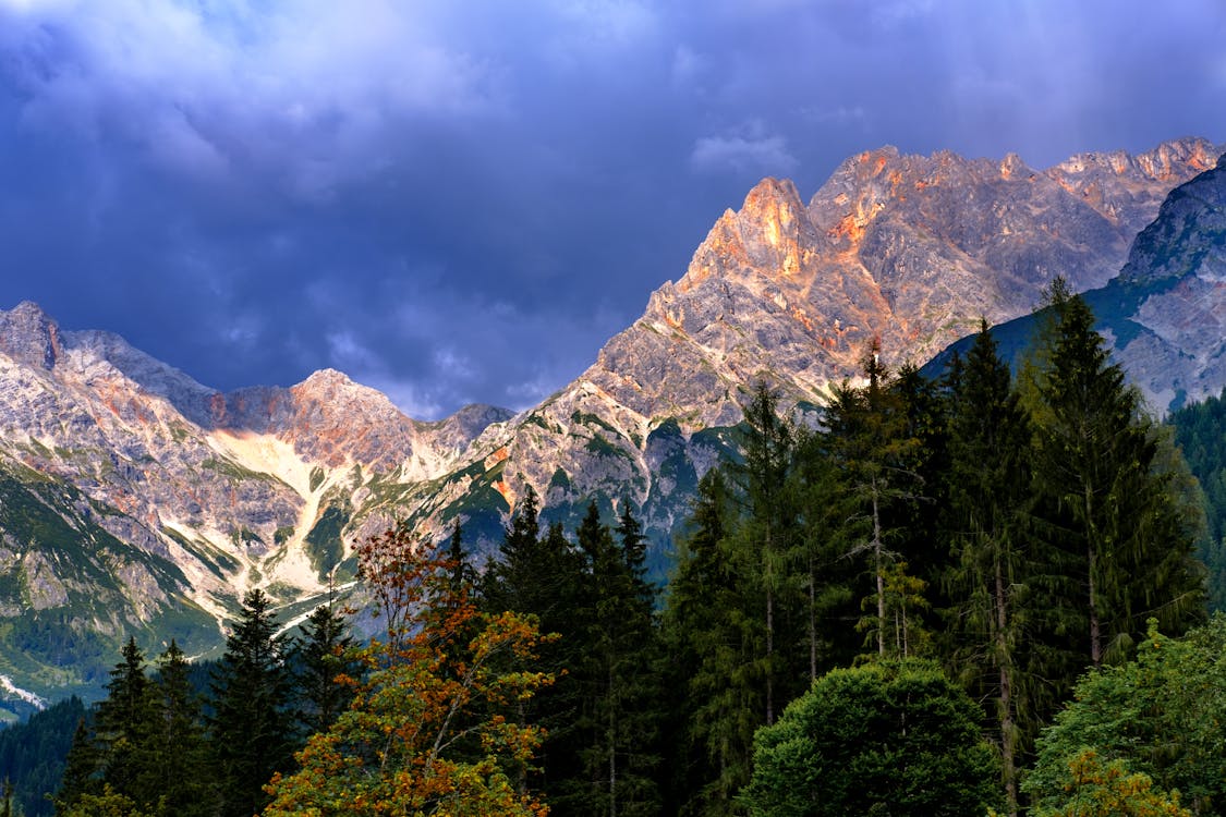 Free Mountain And Trees Under Cloudy Sky Stock Photo