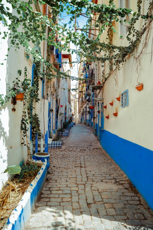 Dekoracje Setreets, Place D'arme Annaba, Ulica W Annaba