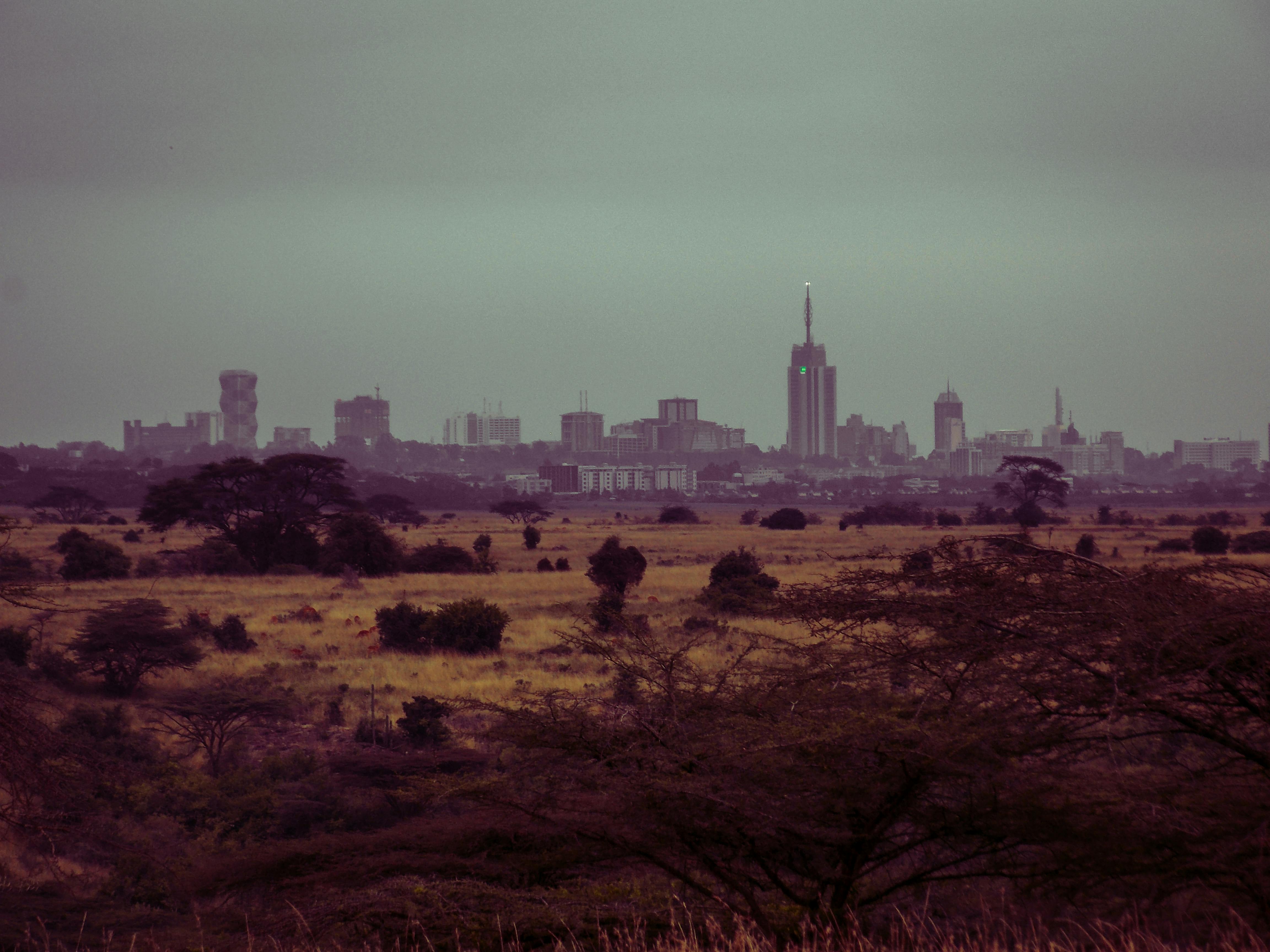 Free stock photo of The City Of Nairobi Kenya