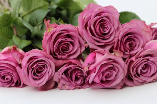 Free Photograph of a Bouquet of Pink Flowers Stock Photo
