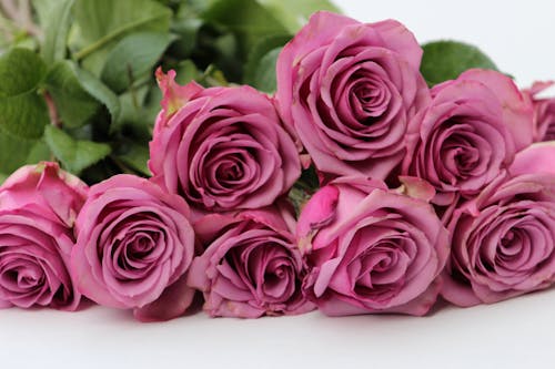 Photograph of a Bouquet of Pink Flowers