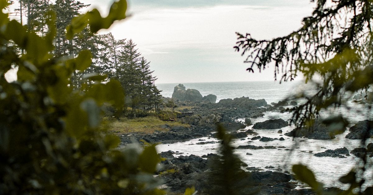 Four Dead After Plane Crashes Into Water Near Seldovia