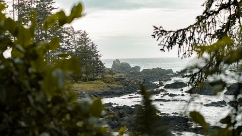 Free Capture of Ucluelet's rocky coast with tranquil waves and lush greenery, perfect for nature enthusiasts. Stock Photo
