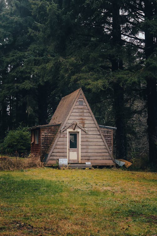 Chalet in Forest · Free Stock Photo