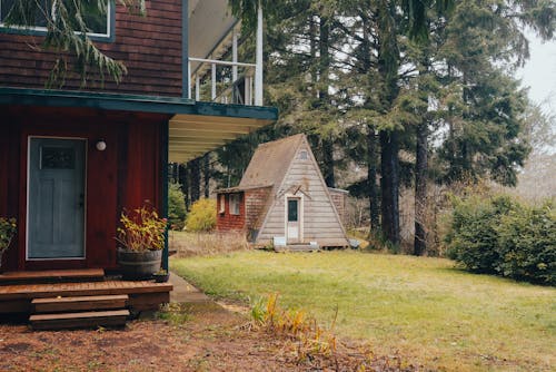 View of a Building and a Triangle Hut in a Forest 