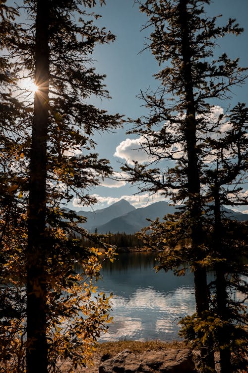 View of Trees, Body of Water and Mountains in the Background 