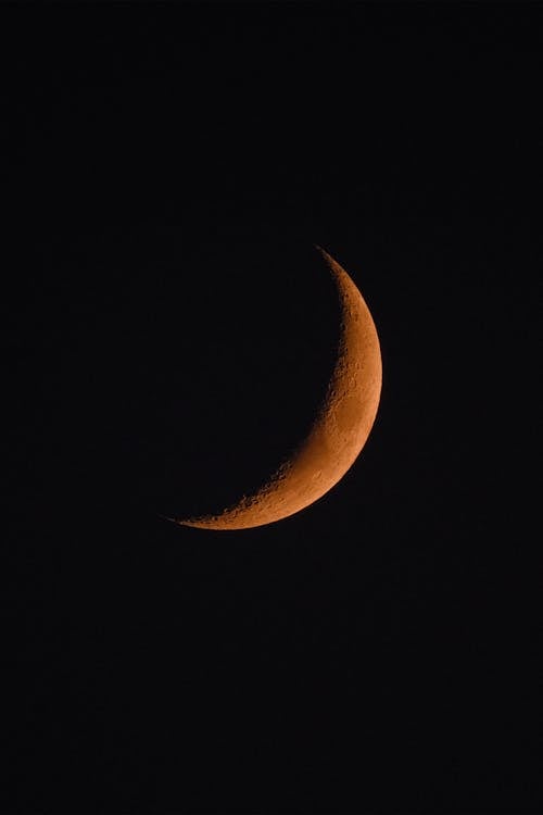 Základová fotografie zdarma na téma detail, luna, měsíc