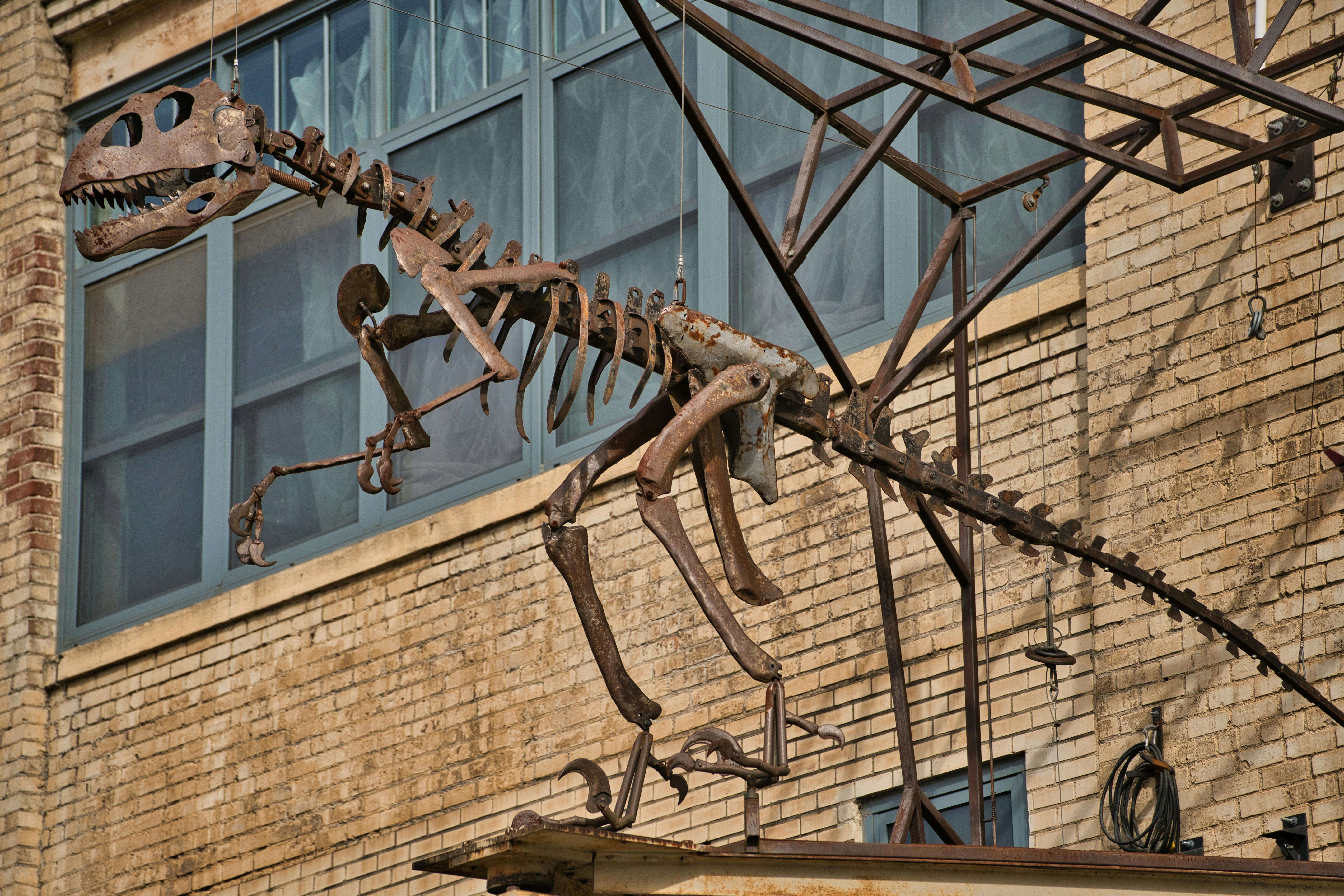 Jurassic dinosaurs had specialized diets to coexist peacefully — Photo by Thomas K on Pexels