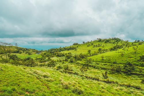 Foto profissional grátis de Índia, montanhas, paisagem