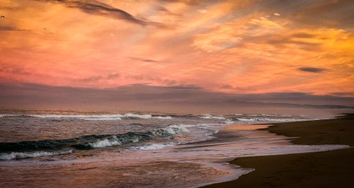 Free stock photo of beach, marina ca, morning Stock Photo