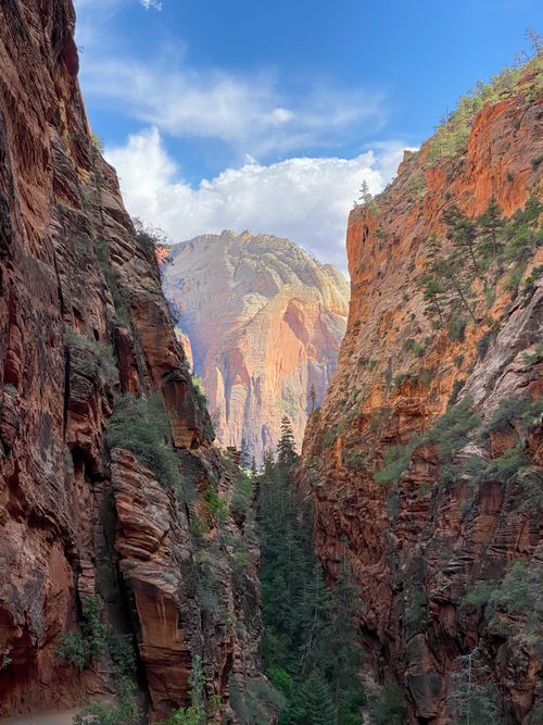 Free Breathtaking view of Zion Canyon's towering cliffs and lush forest. Stock Photo