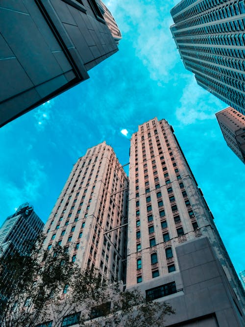 무료 고층 건물의 웜의 눈보기 스톡 사진