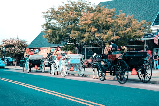 Horse-drawn carriages lined up downtown Cape May, NJ, showcasing quaint street life.