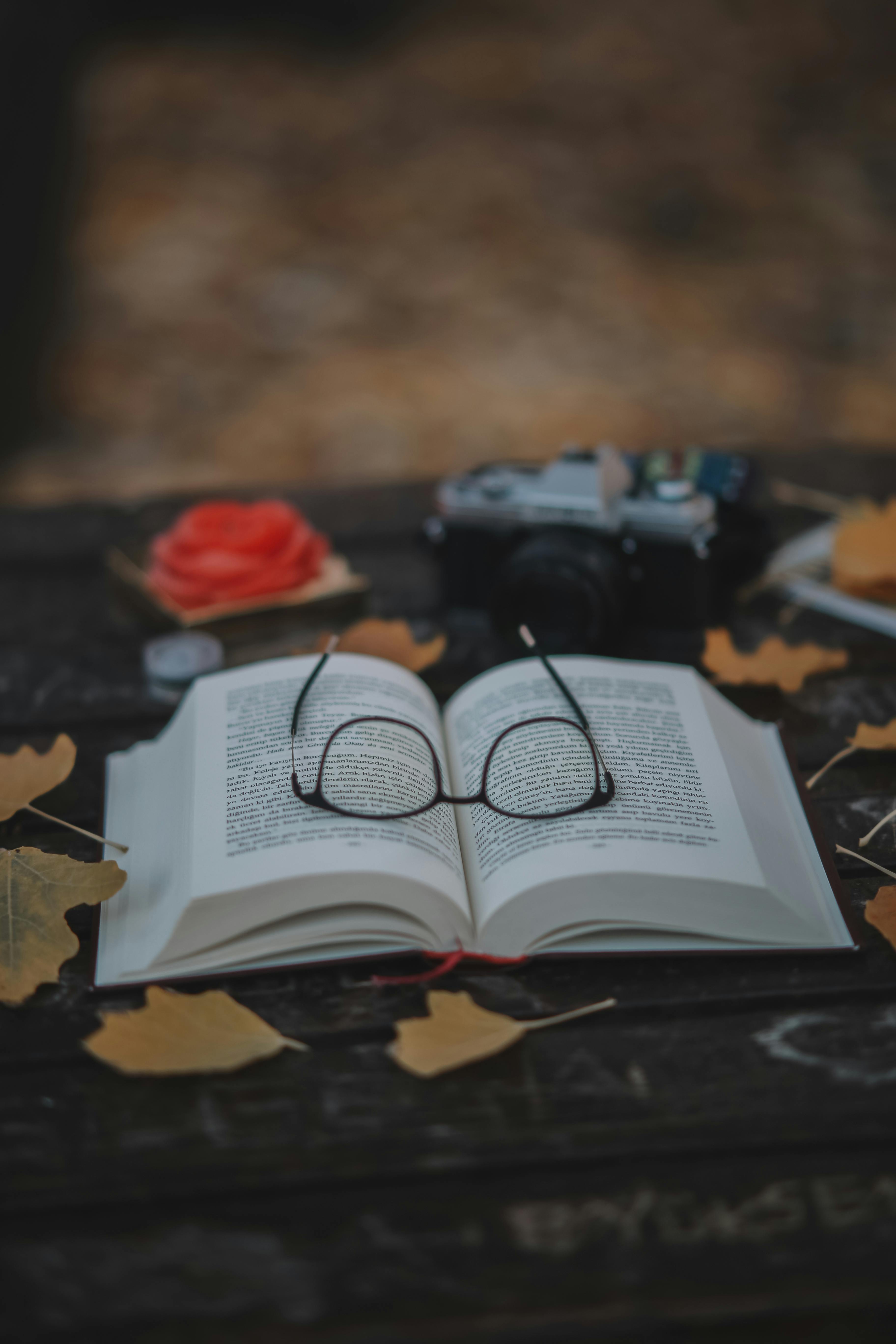 Gratis Immagine gratuita di 35mmfilm, amante dei libri, ambiente naturale Foto a disposizione