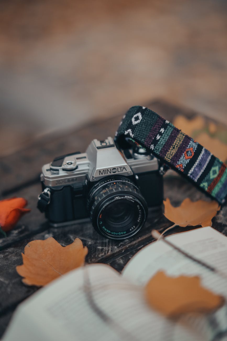 Classic point-and-shoot camera with leaves