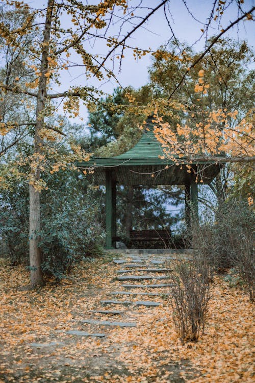 Gazebo in an Autumn Forest