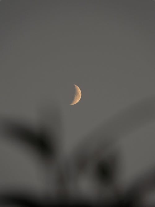 Immagine gratuita di cielo, grigio, luna