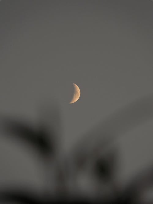 Moon in the Evening Sky