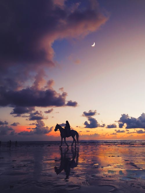 Silhouetfoto Van Persoon Die Op Paard Rijdt